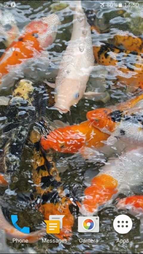 Koi Garden 3D Live Wallpaper screenshot 5