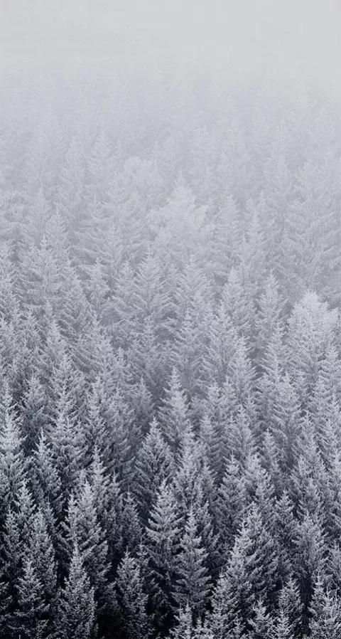 Nice wallpapers : iOS 9 theme screenshot 3
