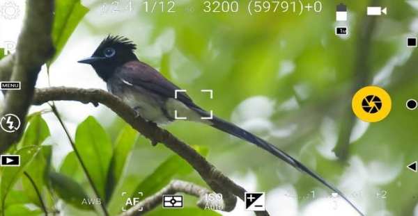 HD Camera For iPhone7 screenshot 2