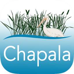 Aves de Chapala