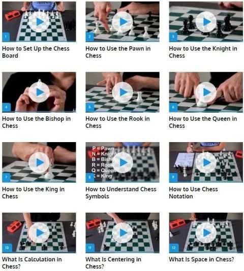 Cara Bermain Catur screenshot 3