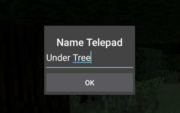 Teleportation Mod Installer скриншот 3