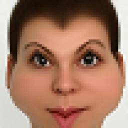 Funny Face Pro 1.7
