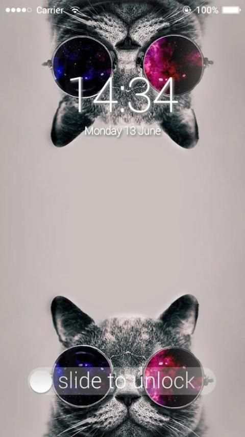 Fancy Screen Lock Cat स्क्रीनशॉट 3