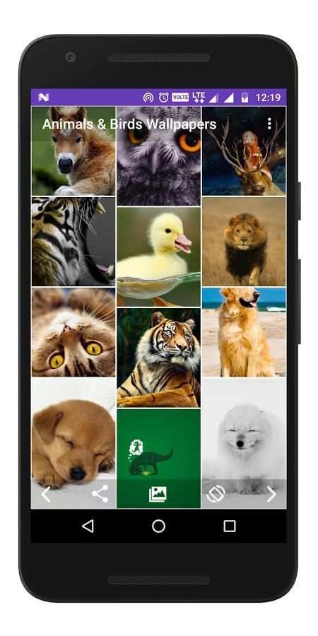 Animals & Birds - Wallpapers स्क्रीनशॉट 3