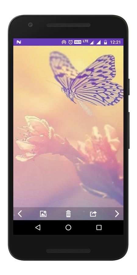 Animals & Birds - Wallpapers स्क्रीनशॉट 2