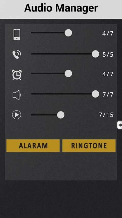 Audio Manager Pro screenshot 2