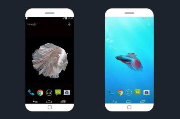 Betta Fish 6S Video Wallpaper स्क्रीनशॉट 2