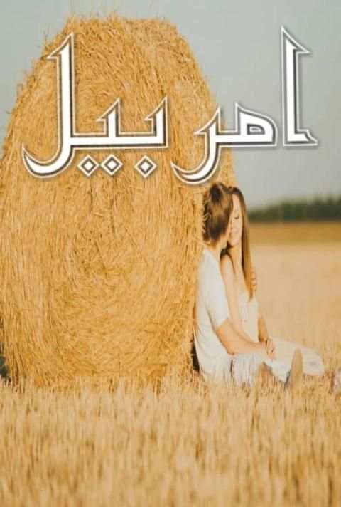 Amar-Bail Novel 3 تصوير الشاشة