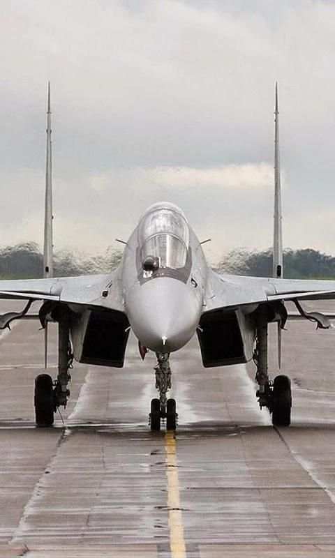 Wallpaper Sukhoi Su 30 screenshot 1