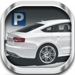 Speed Parking 3D أيقونة