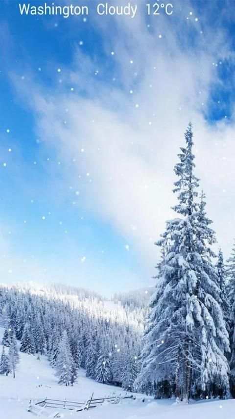 weather live wallpaper screenshot 3