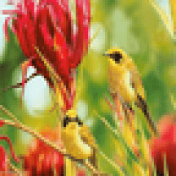 Yellow Birds Live Wallpaper icon