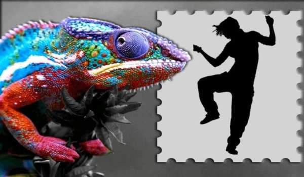 Efek Warna Bingkai Foto Editor screenshot 2