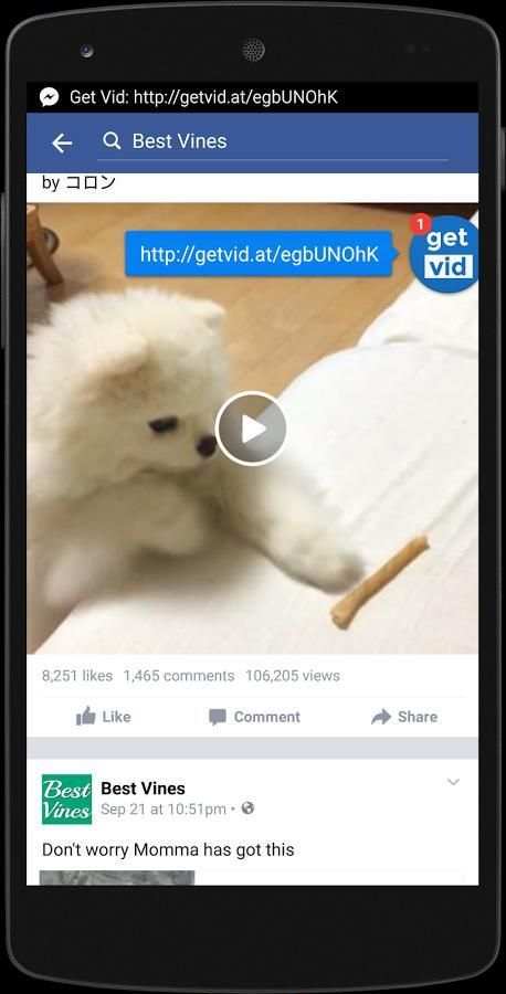 GetVid for Facebook & Browser screenshot 13