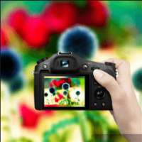 DSLR Camera Photo Effect on 9Apps