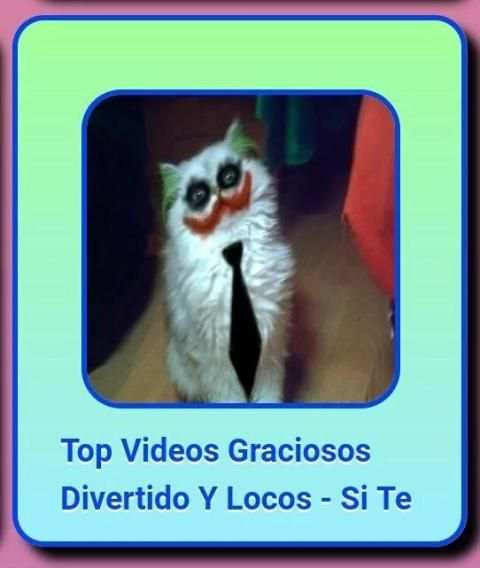 Funny videos screenshot 3