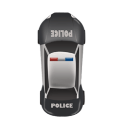 Polish Car Racing أيقونة