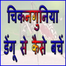 Chicken Guniya Fever आइकन