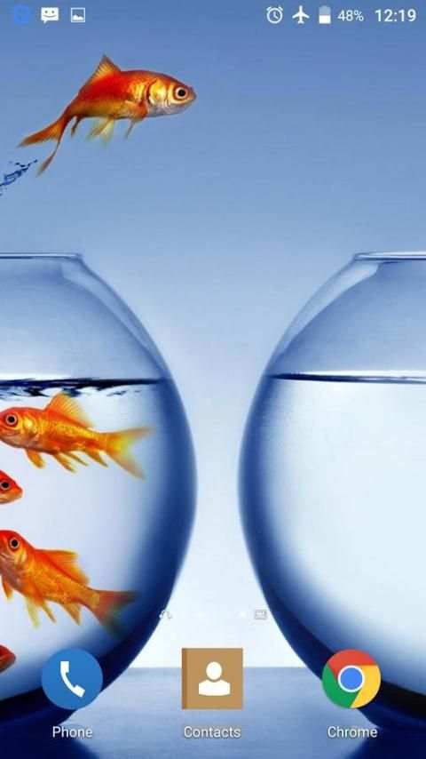 Goldfish HD Live Wallpaper screenshot 2