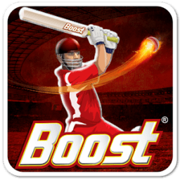 ikon Boost Power Cricket