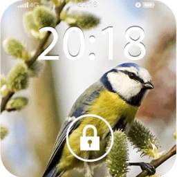 Fancy Screenlock Bird 1.0.5