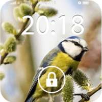 شاشة الهوى قفل الطيور on 9Apps