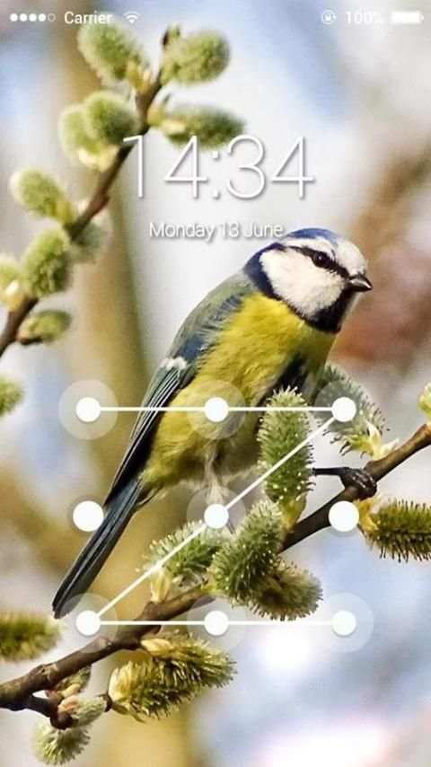 Fancy Screen Lock Bird скриншот 2