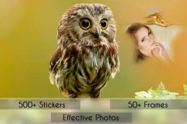 Birds Photo Frames screenshot 1