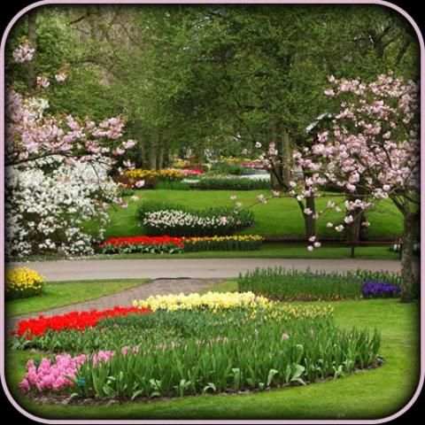3D Garden Photo Frames screenshot 1
