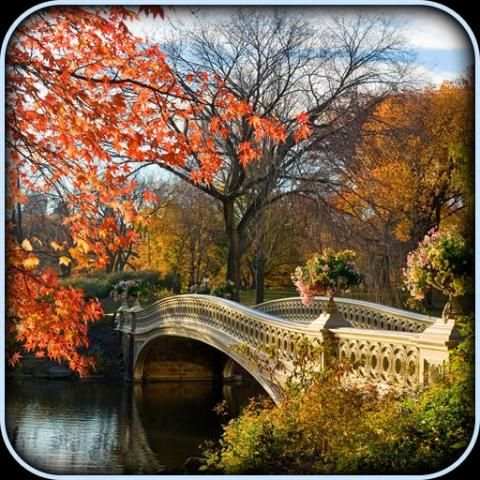 Garden Photo Frames 1 تصوير الشاشة