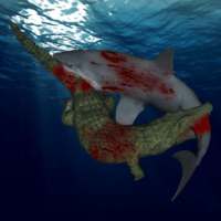 Shark Crocodile Fight