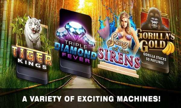 Slots Tiger King Casino Slots 13 تصوير الشاشة