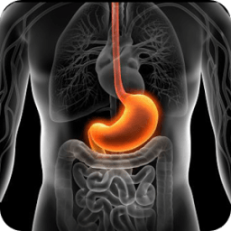 ikon Gastritis Adios