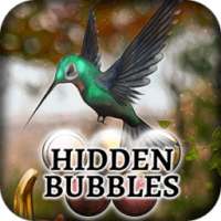 Hidden Bubbles: Autumn Colors