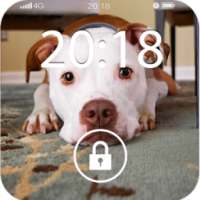 Fancy Screen Lock Dog Face