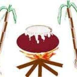 Pongal 1.0