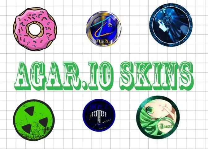 Skins for Agar.io !