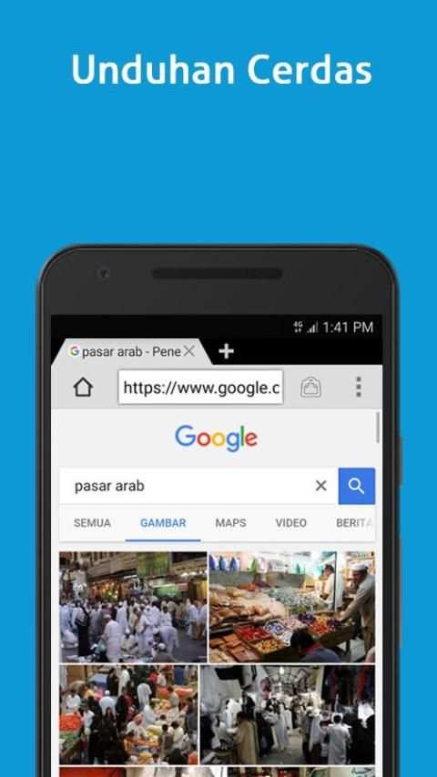 Web Browser screenshot 2