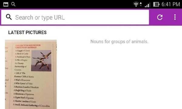 Royal Browser 3 تصوير الشاشة
