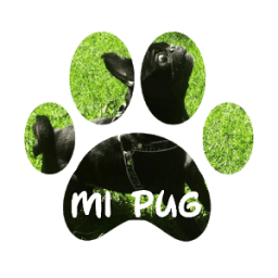 Mi PUG आइकन