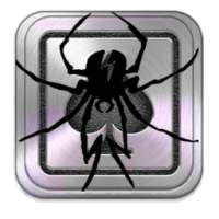 Flash Spider Solitaire