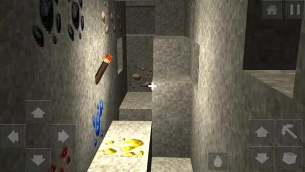 Multicraft Pro Edition स्क्रीनशॉट 4