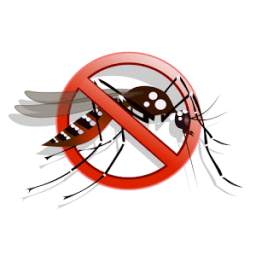 India Fights Dengue