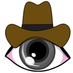 Hidden Camera 1.0