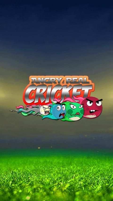 Cricket Game: Angry Style स्क्रीनशॉट 1
