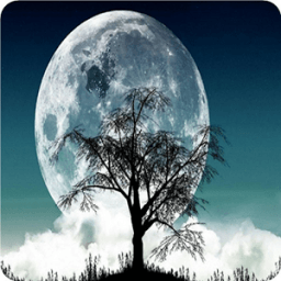 ярмарка Moonlight иконка