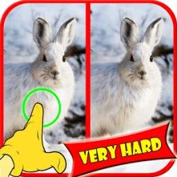 Find Difference Rabbit Games