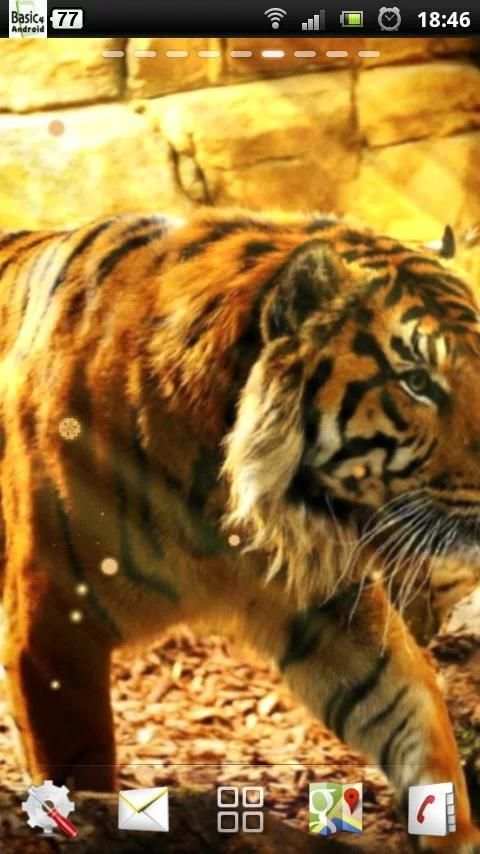 free live tiger wallpaper screenshot 5