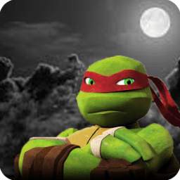 Turtle Legend Shadow Ninja 1.1